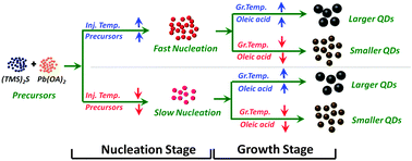 Graphical abstract: Mechanistic insight into the nucleation and growth of oleic acid capped lead sulphide quantum dots