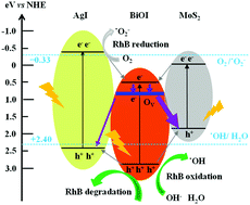 Graphical abstract: An oxygen-vacancy rich 3D novel hierarchical MoS2/BiOI/AgI ternary nanocomposite: enhanced photocatalytic activity through photogenerated electron shuttling in a Z-scheme manner