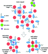 Graphical abstract: Solubility of alkali metal halides in the ionic liquid [C4C1im][OTf]