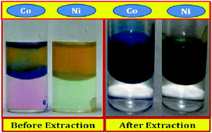 Graphical abstract: Efficient separation of transition metals from rare earths by an undiluted phosphonium thiocyanate ionic liquid