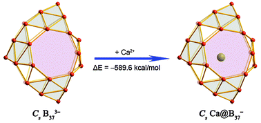 Graphical abstract: Endohedral charge-transfer complex Ca@B37−: stabilization of a B373− borospherene trianion by metal-encapsulation