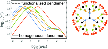 Graphical abstract: Dynamics of internally functionalized dendrimers