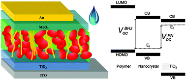 Graphical abstract: Unravelling the working junction of aqueous-processed polymer–nanocrystal solar cells towards improved performance