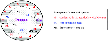 Graphical abstract: Metal ion–humic acid nanoparticle interactions: role of both complexation and condensation mechanisms