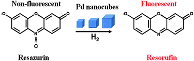 Graphical abstract: Size-dependent catalytic kinetics and dynamics of Pd nanocubes: a single-particle study