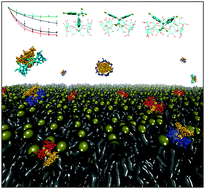 Graphical abstract: Atomic elucidation of the cyclodextrin effects on DDT solubility and biodegradation