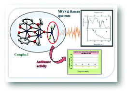 Graphical abstract: Vibrational dynamics (IR, Raman, NRVS) and a DFT study of a new antitumor tetranuclearstannoxane cluster, Sn(iv)-oxo-{di-o-vanillin} dimethyl dichloride