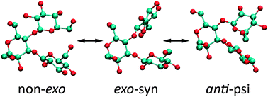 Graphical abstract: Delineating the conformational flexibility of trisaccharides from NMR spectroscopy experiments and computer simulations