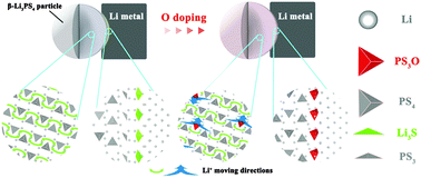 Graphical abstract: Oxygen-driven transition from two-dimensional to three-dimensional transport behaviour in β-Li3PS4 electrolyte