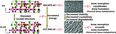 Graphical abstract: The crystal structure and chemical state of aluminum-doped hydroxyapatite by experimental and first principles calculation studies