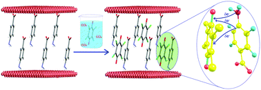 Graphical abstract: Spectroscopic and computational investigations on the origin of charge transfer between included neutral guest molecules and a functionalized anionic layered host