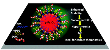 Graphical abstract: Superparamagnetic iron oxide nanocargoes for combined cancer thermotherapy and MRI applications