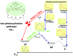 Graphical abstract: New insights into the photoswitching mechanisms of normal dithienylethenes