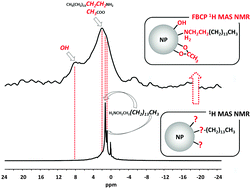 Graphical abstract: Identifying short surface ligands on metal phosphide quantum dots