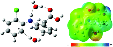 Graphical abstract: Computational insights into the photocyclization of diclofenac in solution: effects of halogen and hydrogen bonding