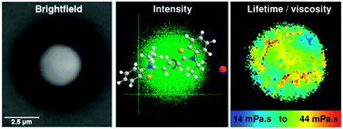 Graphical abstract: Fluorescence lifetime imaging of optically levitated aerosol: a technique to quantitatively map the viscosity of suspended aerosol particles