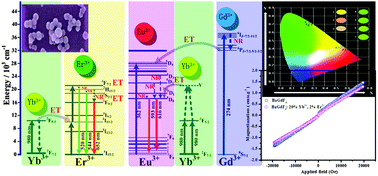 Graphical abstract: Dual-mode, tunable color, enhanced upconversion luminescence and magnetism of multifunctional BaGdF5:Ln3+ (Ln = Yb/Er/Eu) nanophosphors