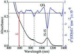 Graphical abstract: Hot exciton cooling and multiple exciton generation in PbSe quantum dots