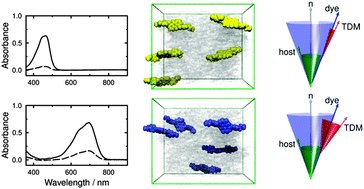 Graphical abstract: Experimental and molecular dynamics studies of anthraquinone dyes in a nematic liquid-crystal host: a rationale for observed alignment trends