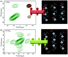 Graphical abstract: Sensitivity enhanced 14N/14N correlations to probe inter-beta-sheet interactions using fast magic angle spinning solid-state NMR in biological solids