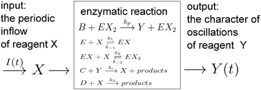 Graphical abstract: How many enzyme molecules are needed for discrimination oriented applications?