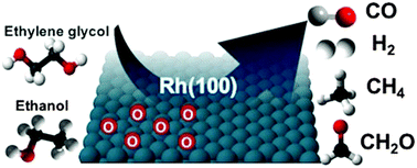 Graphical abstract: Modeling the surface chemistry of biomass model compounds on oxygen-covered Rh(100)