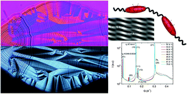 Graphical abstract: Mesophase structure and behaviour in bulk and restricted geometry of a dimeric compound exhibiting a nematic–nematic transition