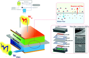 Graphical abstract: Utilization of the Donnan potential induced by reverse salt flux in pressure retarded osmosis systems