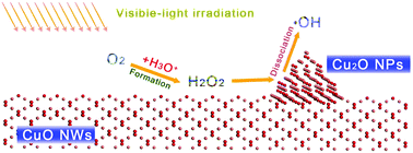 Graphical abstract: Mechanistical investigation on the self-enhanced photocatalytic activity of CuO/Cu2O hybrid nanostructures by density functional theory calculations