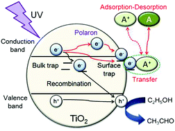Graphical abstract: Distinction of electron pathways at titanium oxide/liquid interfaces in photocatalytic processes and co-catalyst effects