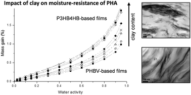 Graphical abstract: Water sorption behaviour of two series of PHA/montmorillonite films and determination of the mean water cluster size