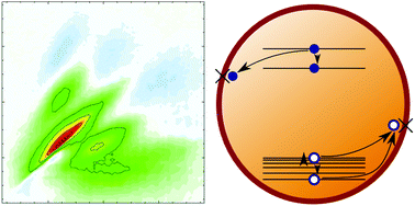 Graphical abstract: Hot electron and hole dynamics in thiol-capped CdSe quantum dots revealed by 2D electronic spectroscopy