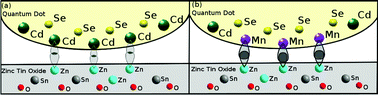 Graphical abstract: Large enhancement in photocurrent by Mn doping in CdSe/ZTO quantum dot sensitized solar cells