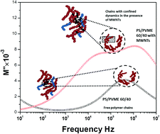 Graphical abstract: Is kinetic polymer arrest very specific to multiwalled carbon nanotubes?