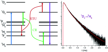 Graphical abstract: Modeling blue to UV upconversion in β-NaYF4:Tm3+