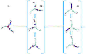 Graphical abstract: Ultrafast electronic energy relaxation in a conjugated dendrimer leading to inter-branch energy redistribution