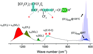 Graphical abstract: New molecular scale insights into the α-transition of Nafion® thin films from variable temperature ATR-FTIR spectroscopy