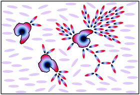 Graphical abstract: Effect of long-range interactions on nanoparticle-induced aggregation