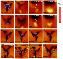 Graphical abstract: Direct observation of magnetic vortex behavior in an ordered La0.7Sr0.3MnO3 dot arrays