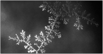 Graphical abstract: Metallic nanowires and mesoscopic networks on a free surface of superfluid helium and charge-shuttling across the liquid–gas interface