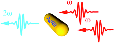 Graphical abstract: Surface area-dependent second harmonic generation from silver nanorods