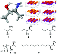 Graphical abstract: Accurate prediction of the optical rotation and NMR properties for highly flexible chiral natural products