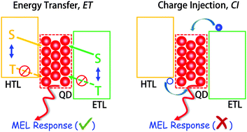 Graphical abstract: In situ investigation of energy transfer in hybrid organic/colloidal quantum dot light-emitting diodes via magneto-electroluminescence