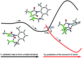 Graphical abstract: Photocycloaddition reaction of atropisomeric maleimides: mechanism and selectivity