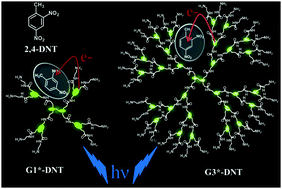 Graphical abstract: The study of electron transfer reactions in a dendrimeric assembly: proper utilization of dendrimer fluorescence