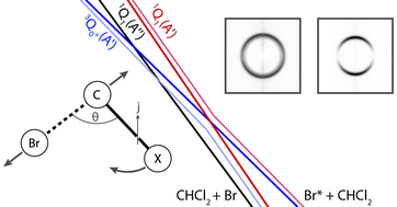 Graphical abstract: Dynamics and yields for CHBrCl2 photodissociation from 215–265 nm