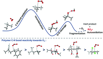 Graphical abstract: Mechanistic insights into ozone-initiated oxidative degradation of saturated hydrocarbons and polymers