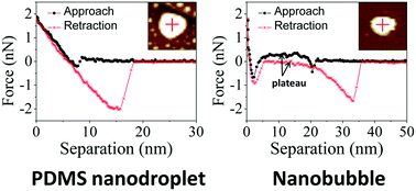 Graphical abstract: Interfacial gas nanobubbles or oil nanodroplets?