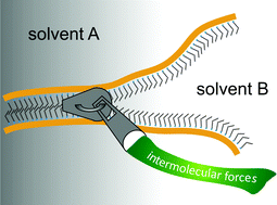 Graphical abstract: Multivalent bonds in self-assembled bundles of ultrathin gold nanowires