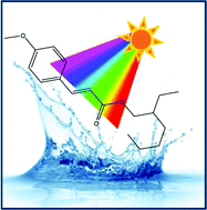 Graphical abstract: Bottom-up excited state dynamics of two cinnamate-based sunscreen filter molecules